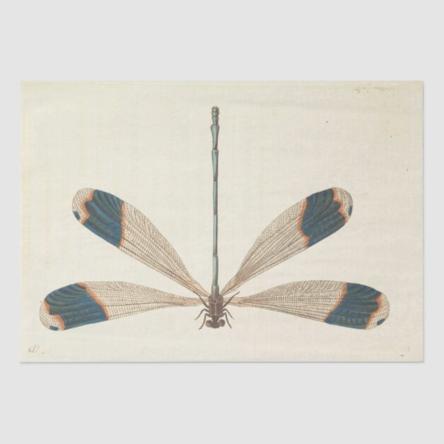 Vintage Ephemera Script Dragonfly Decoupage Tissue Paper (Front)