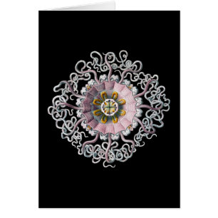 Vintage Ernst Haeckel