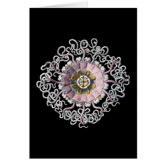 Vintage Ernst Haeckel (Front)