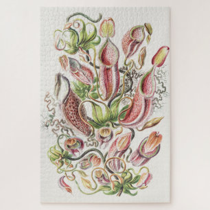 Vintage Ernst Haeckel Botanical Pitcher Plant Jigsaw Puzzle