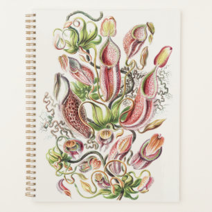 Vintage Ernst Haeckel Botanical Pitcher Plant Planner