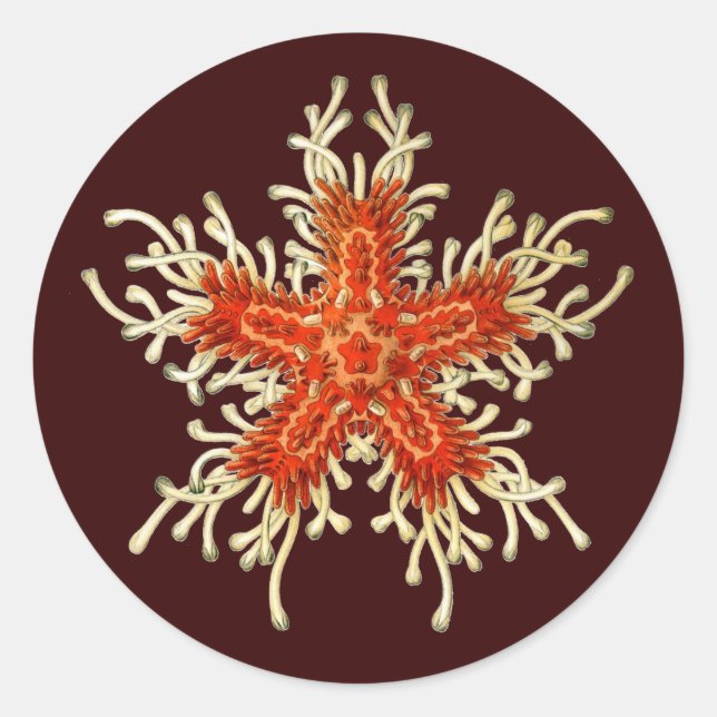 Vintage Ernst Haeckel Classic Round Sticker (Front)