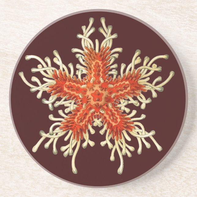 Vintage Ernst Haeckel Coaster (Front)