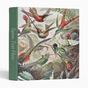 Vintage Ernst Haeckel Colourful Hummingbird Poster Binder