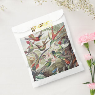 Vintage Ernst Haeckel Colourful Hummingbird Poster Favour Bag