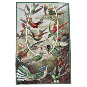 Vintage Ernst Haeckel Colourful Hummingbird Poster Medium Gift Bag
