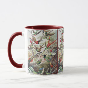 Vintage Ernst Haeckel Colourful Hummingbird Poster Mug