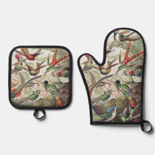 Vintage Ernst Haeckel Colourful Hummingbird Poster Oven Mitt & Pot Holder Set