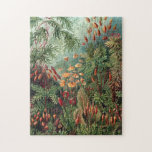 Vintage Ernst Haeckel Moss Poster Jigsaw Puzzle<br><div class="desc">Vintage Ernst Haeckel Moss</div>