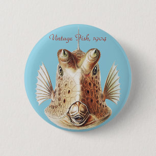 Vintage Ernst Haeckel Nautical Gold Cowfish Art 2 Inch Round Button