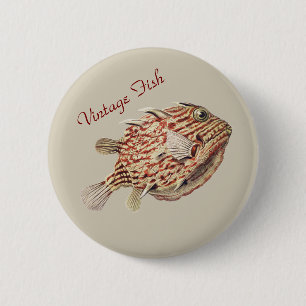 Vintage Ernst Haeckel Nautical Red Boxfish Art 2 Inch Round Button