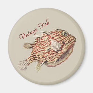Vintage Ernst Haeckel Nautical Red Boxfish Art Magnet
