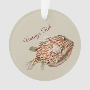 Vintage Ernst Haeckel Nautical Red Boxfish Art Ornament