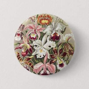 Vintage Ernst Haeckel Orchid Botanical Print 2 Inch Round Button