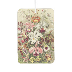 Vintage Ernst Haeckel Orchid Botanical Print Air Freshener