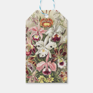 Vintage Ernst Haeckel Orchid Botanical Print Gift Tags