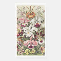 Vintage Ernst Haeckel Orchid Botanical Print