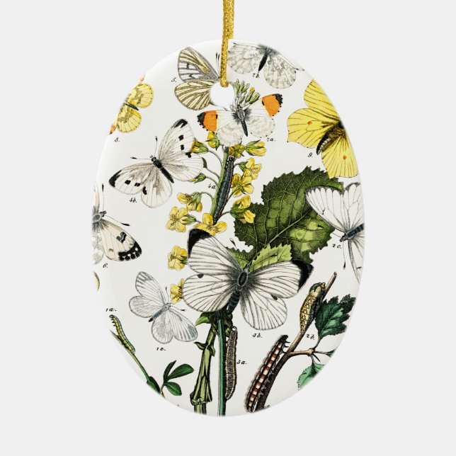 Vintage European Butterflies Ceramic Ornament (Front)