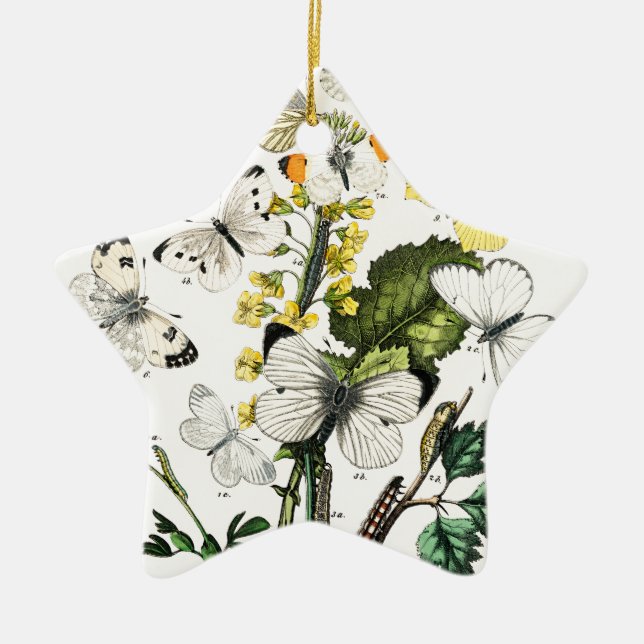 Vintage European Butterflies Ceramic Ornament (Front)