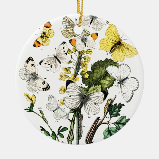 Vintage European Butterflies Ceramic Ornament (Front)