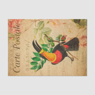 Vintage Exotic Tropical Toucan Bird Floral French Tissue Paper