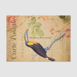 Vintage Exotic Tropical Toucan Bird Floral French Tissue Paper