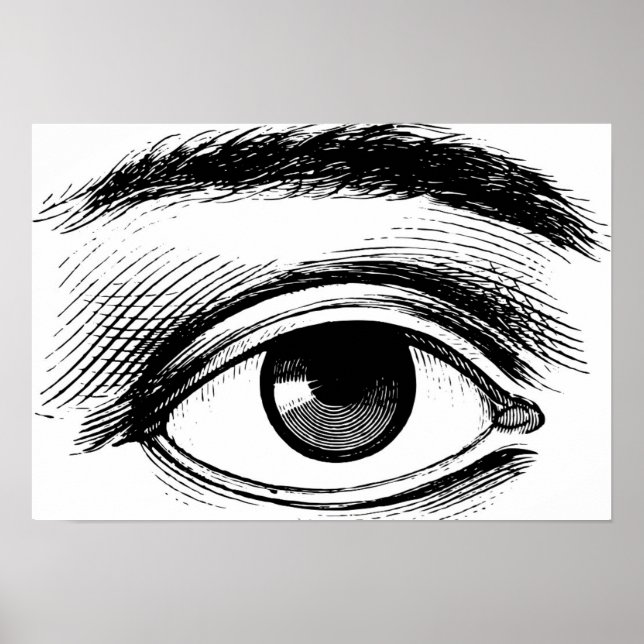 Vintage Eye Illustration Poster (Front)