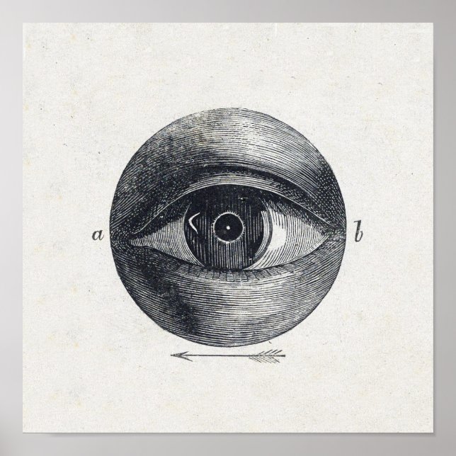 Vintage Eye Illustration Poster (Front)
