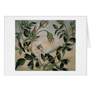 Vintage - Fairy in a Hammock,