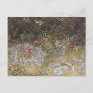 Vintage Fairy Rings and Toadstools Postcard