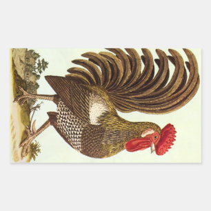 Vintage Farm Animals Chickens, Proud Rooster Sticker