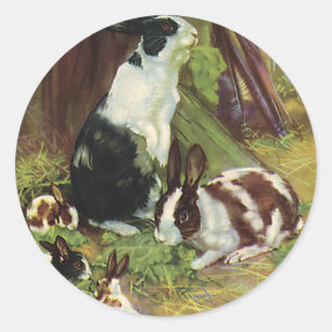 Vintage Farm Animals, Pet Rabbits Playing by Hutch Classic Round Sticker