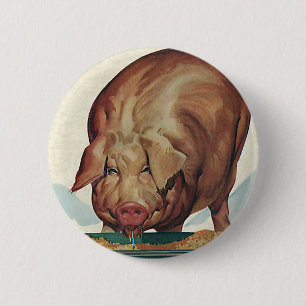 Vintage Farm Animals, Pig Eating Slop at a Trough 2 Inch Round Button