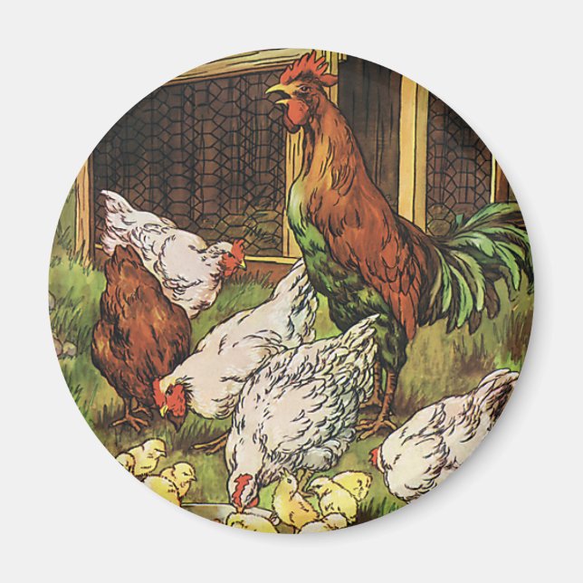 Vintage Farm Animals, Rooster, Hens, Chickens Magnet (Front)