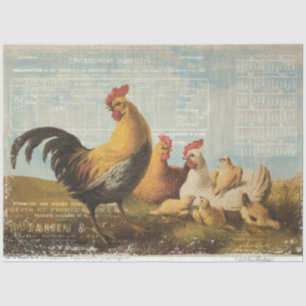 Vintage Farm Chicken Ephemera Decoupage Tissue Paper