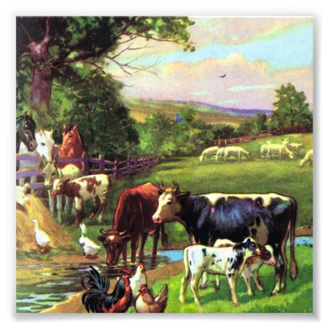 Vintage Farm Photo Print (Front)