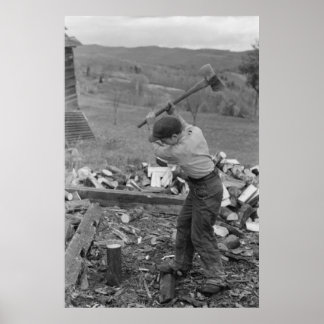 Vintage Farm Security Administration Print