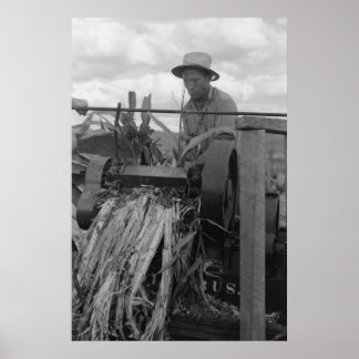 Vintage Farm Security Administration Print