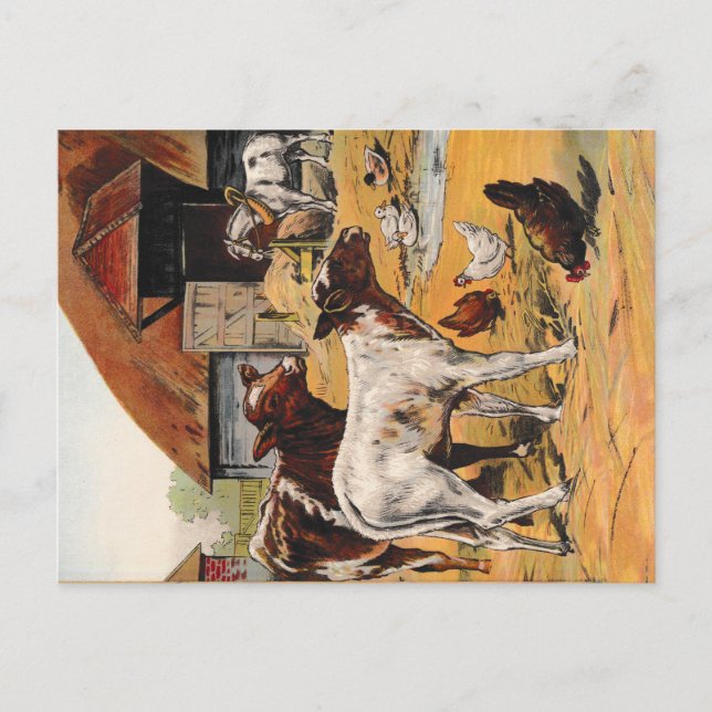Vintage Farm Yard Postcard (Front)