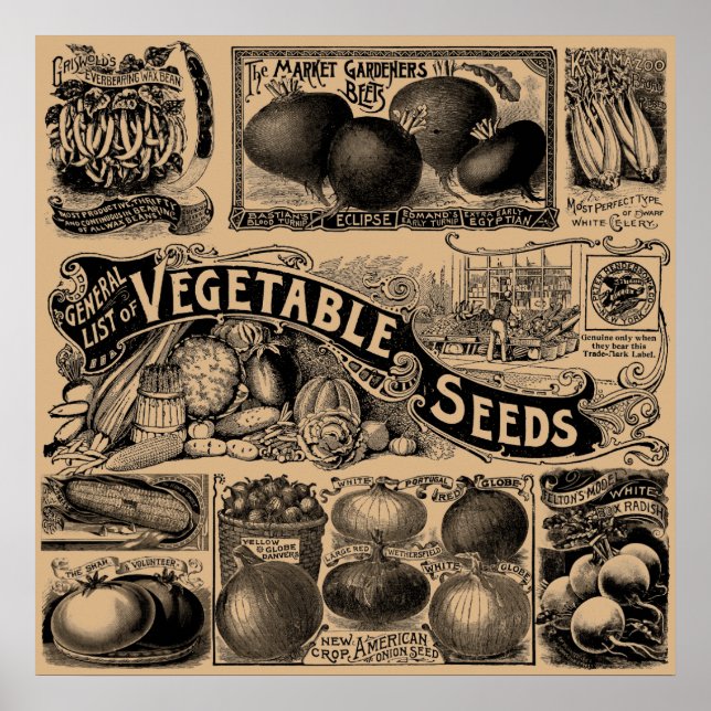 Vintage Farmers Market Vegetable Garden Poster (Front)