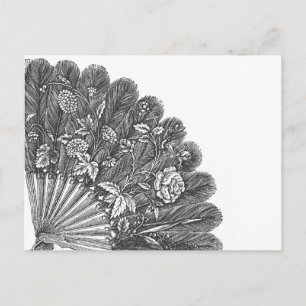 Vintage Feathery Fan Postcard