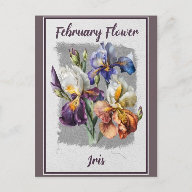 Vintage February Flower Iris Floral Postcard (Front)