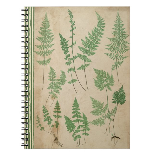 Vintage Fern Carnet botanique Nature Journal (Devant)