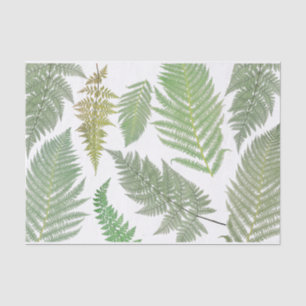 Vintage Fern Plant Botanical Decoupage Tissue Paper