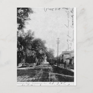 Vintage Fernandina Beach Florida Postcard