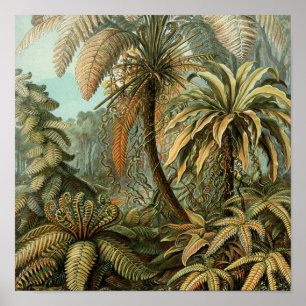 Vintage Ferns and Palm Tree Botanical Poster
