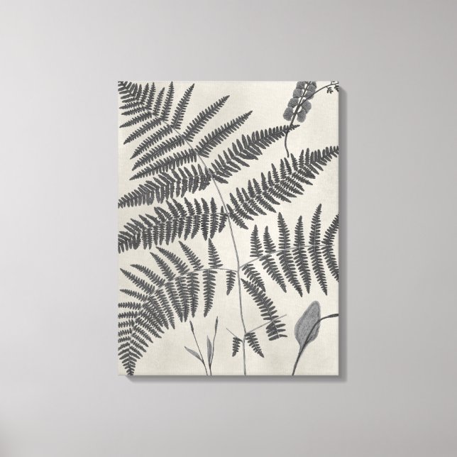 Vintage Ferns Canvas Print (Front)