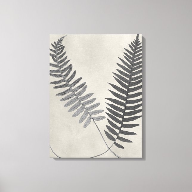 Vintage Ferns Canvas Print (Front)