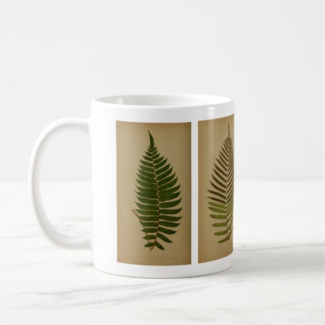 Vintage Ferns Coffee Mug (Left)