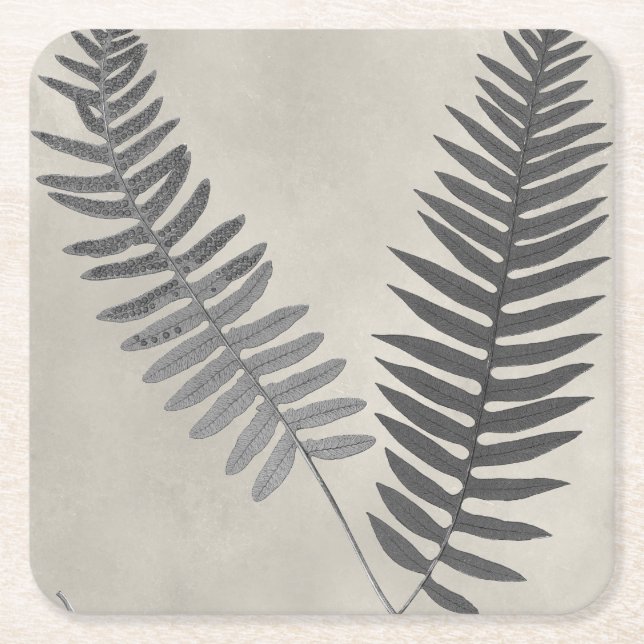 Vintage Ferns Square Paper Coaster (Front)